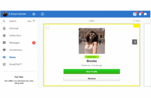 Understanding Zoosk Notifications